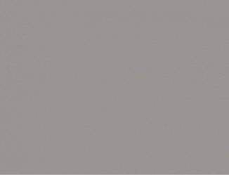 ЛДСП EGGER U788 ST9 АРКТИКА СІРА 2800X2070X18