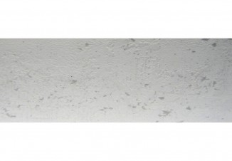 Крайка Egger 23*0.8 АБС ST16 F649 Аргилліт білий