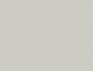 ACRYL LUXEFORM МАТОВА МТ-AF-802U СІРИЙ ШОВК (БІЛИЙ DP)