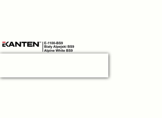 Крайка 22*0.5  E1100 BS9 Білий Альпійський