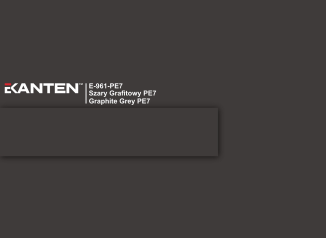 Крайка 22*0.8  E961 PE7 Графіт чорний