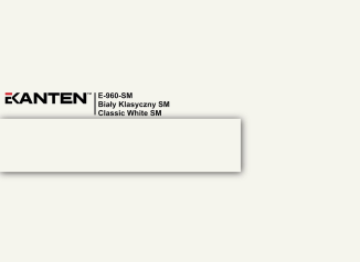 Крайка 22*2  E960 SM Білий класичний