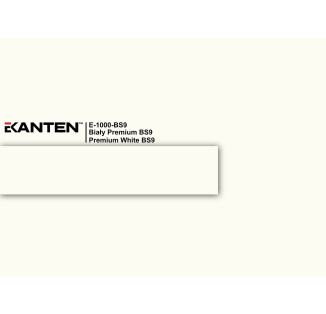 Крайка 22*0.8  E1000 BS9  Білий преміум