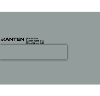 Крайка 43*2  E636 BS9 Фіорд зелений